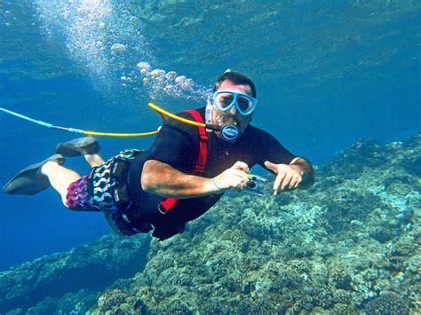 Experience the thrill of swimming with Maui's marine life with our exclusive snorkel offer